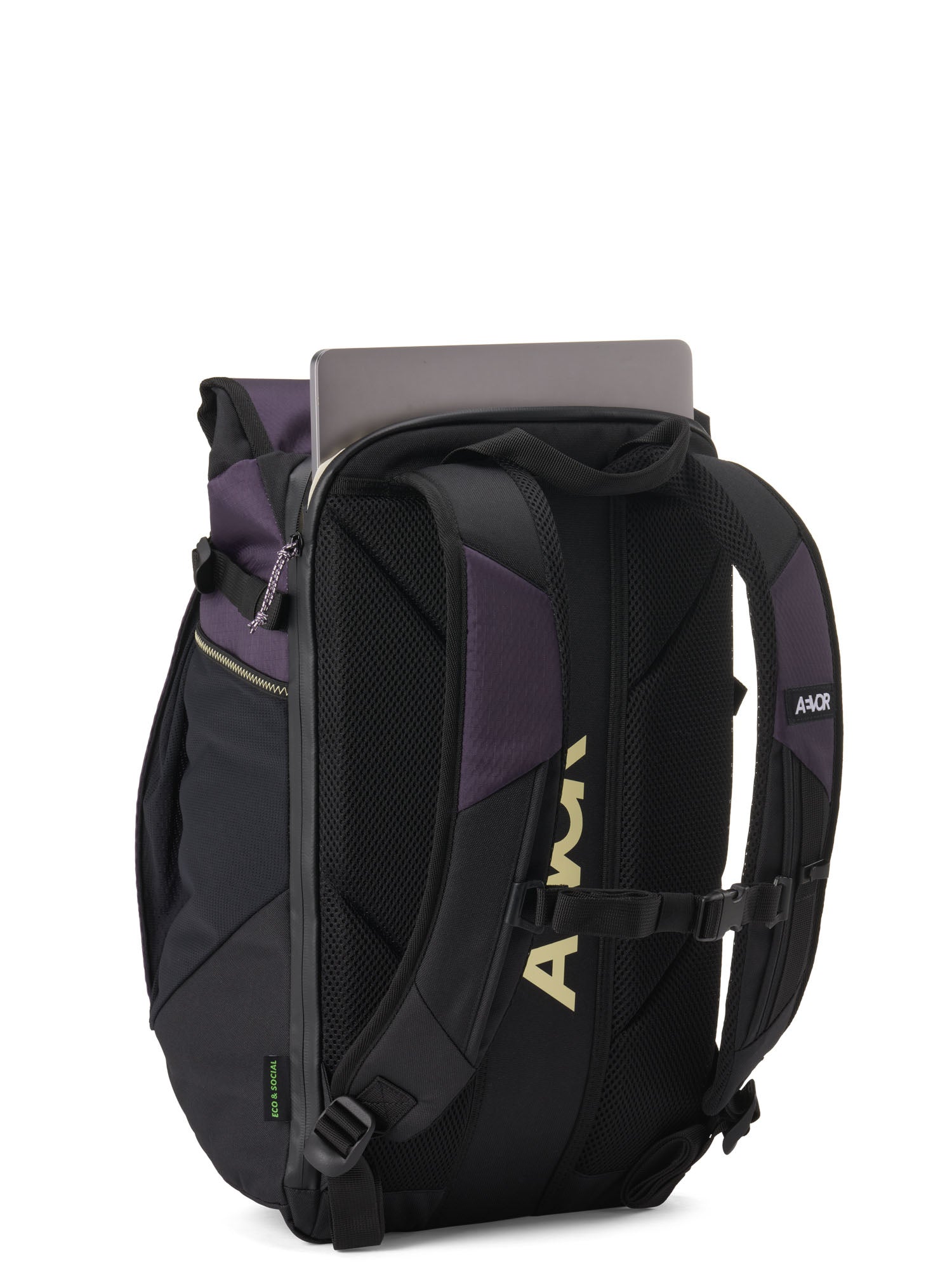 Roll Pack 2.0 - Proof Phantom Purple