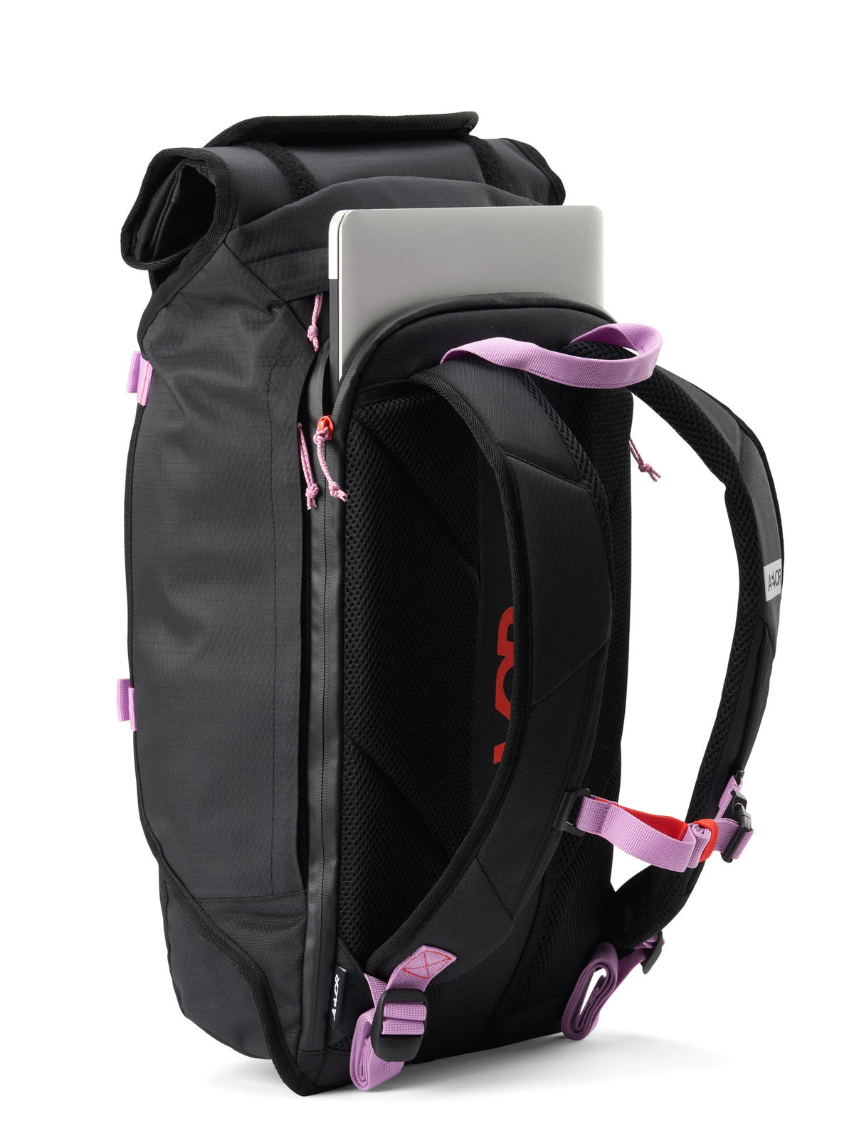 Trip Pack - Proof Dual Dip Violet Rush