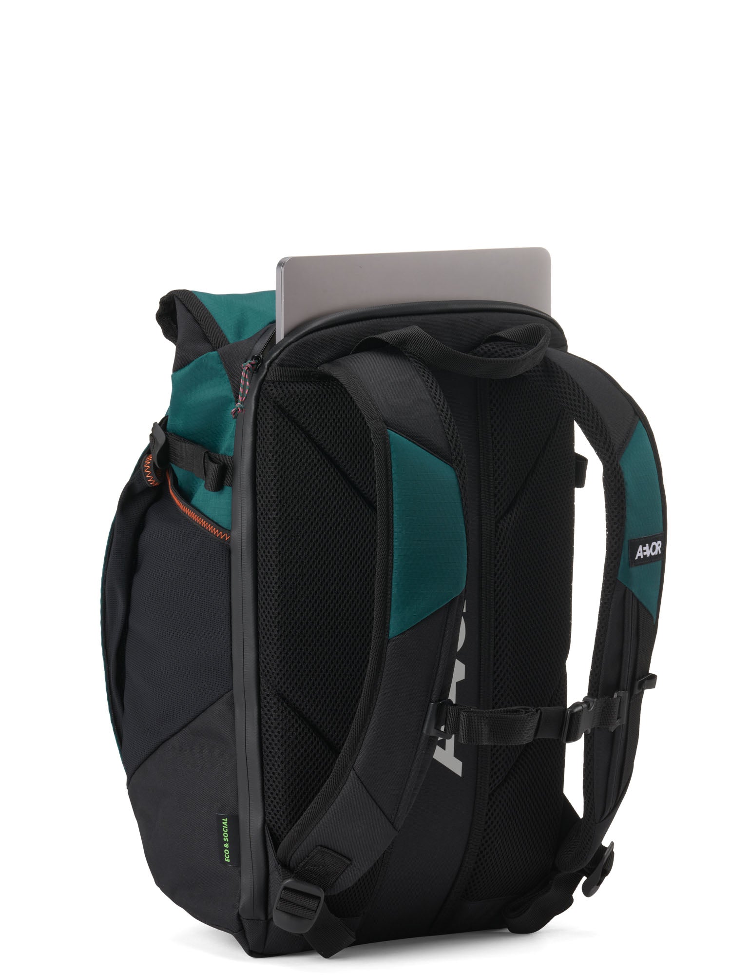 Roll Pack 2.0 - Proof Evergreen