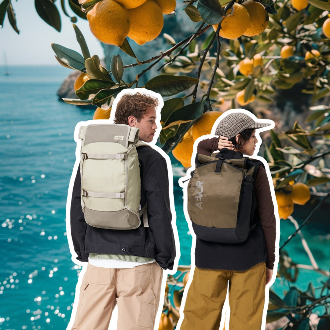 Aevor daypack sale 2025